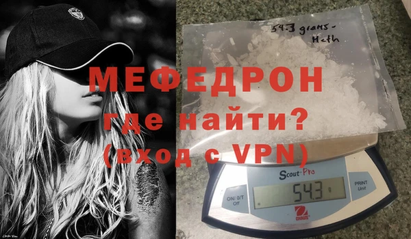 индика Козельск