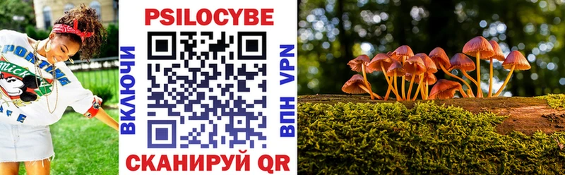 Псилоцибиновые грибы Cubensis  Купить закладки  Верея 